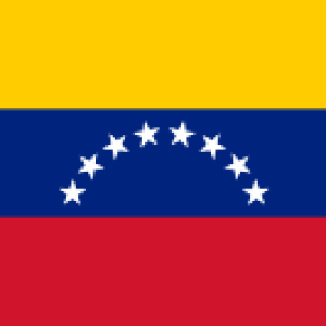 Flag_of_Venezuela.svg